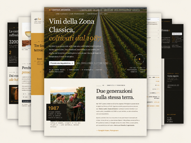 Demo personalizzata della nuova homepage della stessa cantina