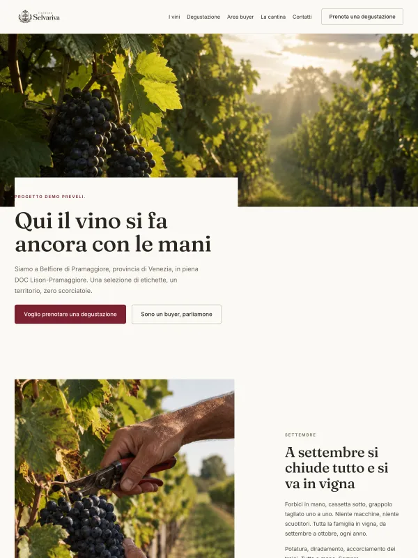Sito pronto aziendale per cantina: catalogo per categoria, degustazione, area buyer