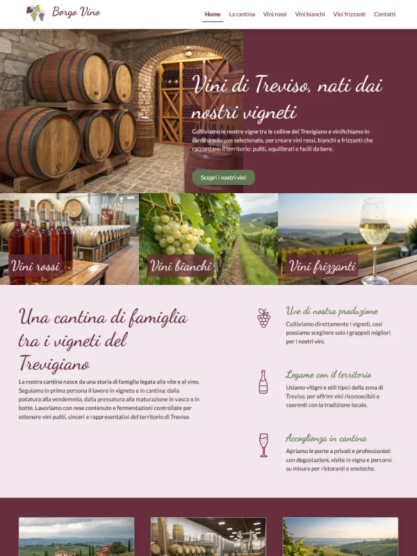 Realizzazione portale aziendale per una cantina, provincia di Treviso